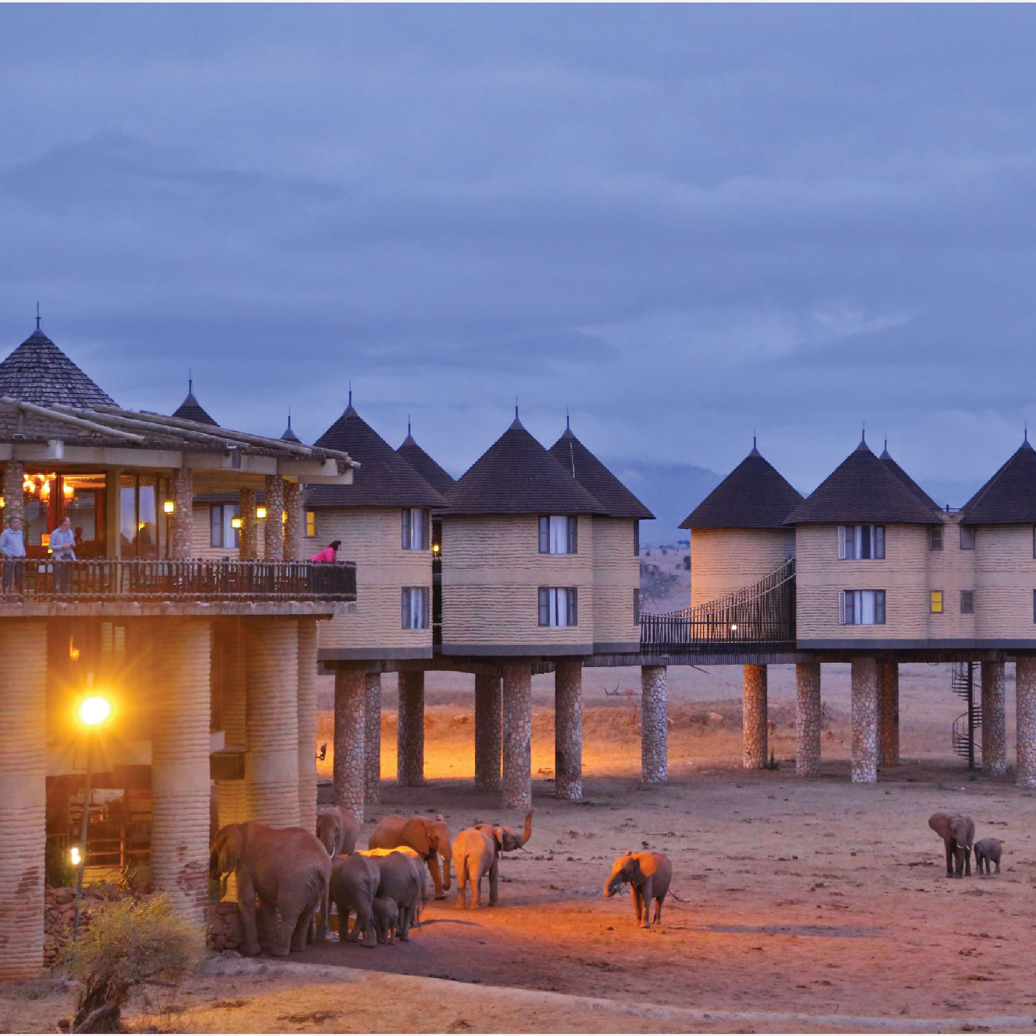 Salt Lick Safari Lodge Getaway – Iconic Wildlife Retreat in Taita Hills.