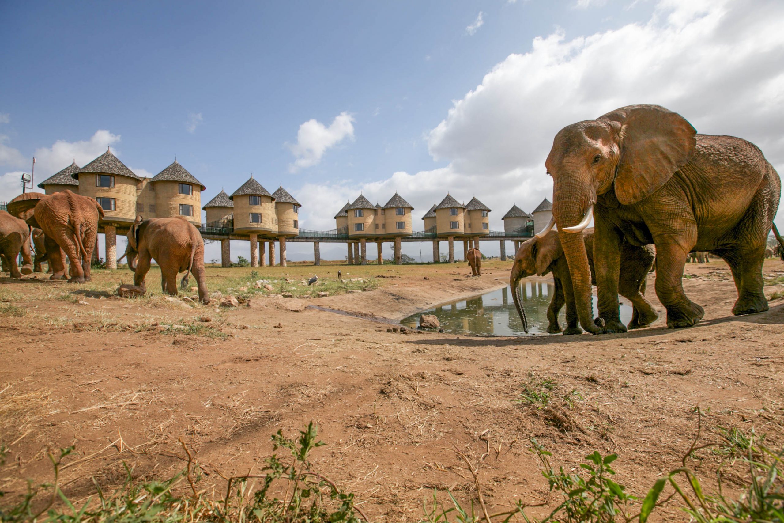Salt Lick Safari Lodge: Taita Hills Wildlife Sanctuary, Kenya
