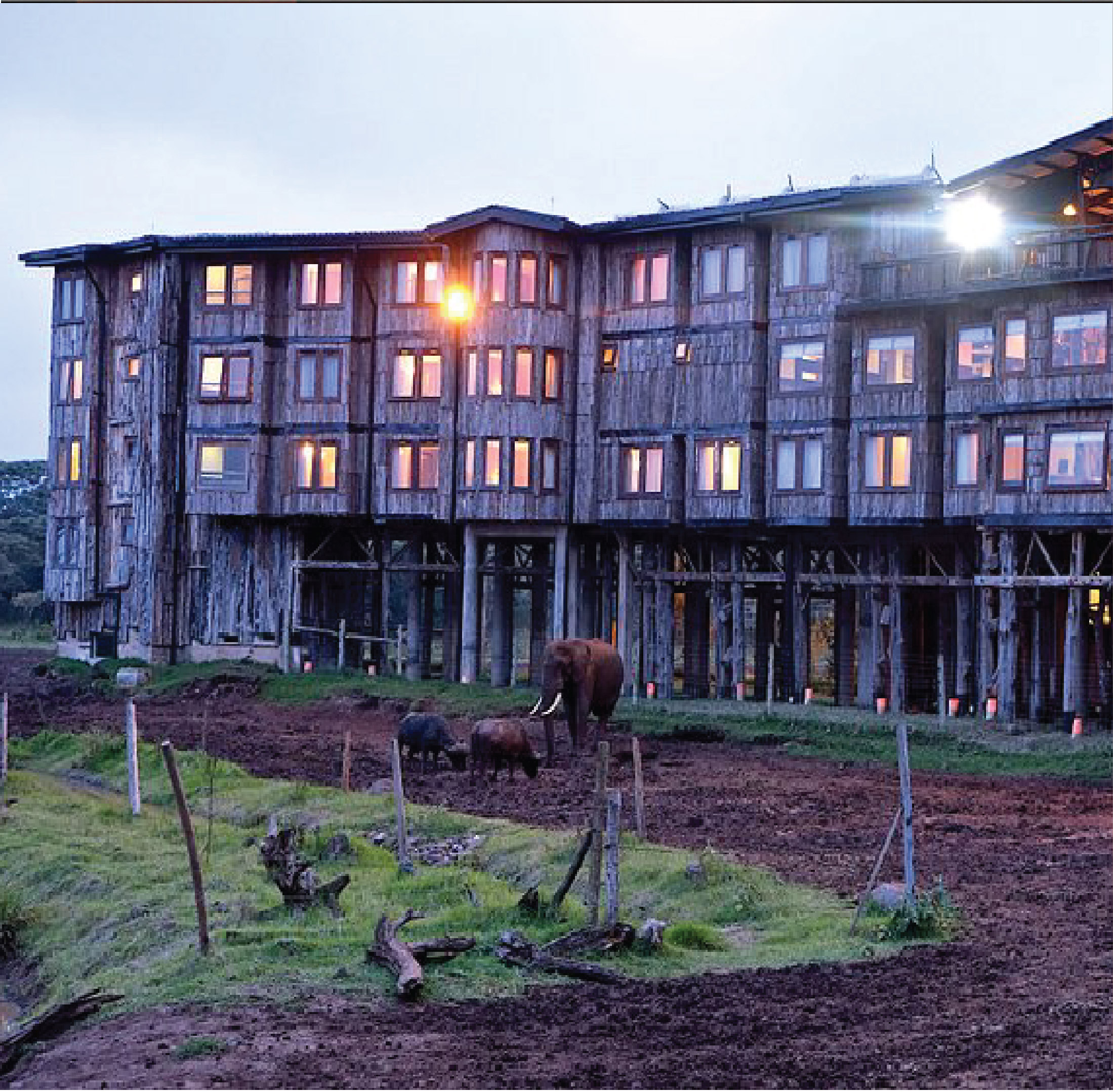 🏰 Treetops Lodge – A Legendary Escape in the Aberdares 🌄🦌