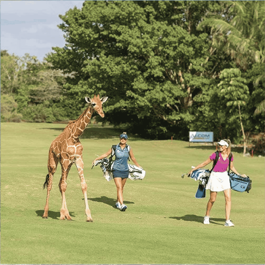 Vipingo Ridge – Luxury Golf Resort, Kilifi