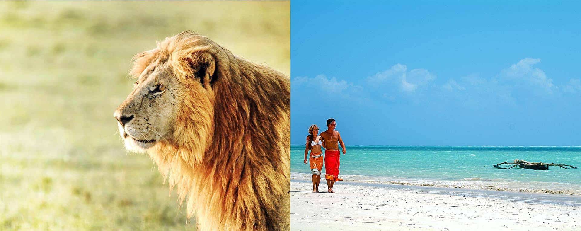 7- Day All- Inclusive Tsavo to Zanzibar Safari