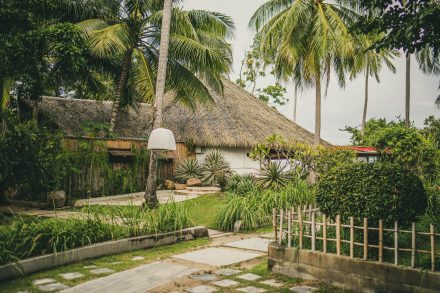 THE JUNGLE CLUB THAILAND