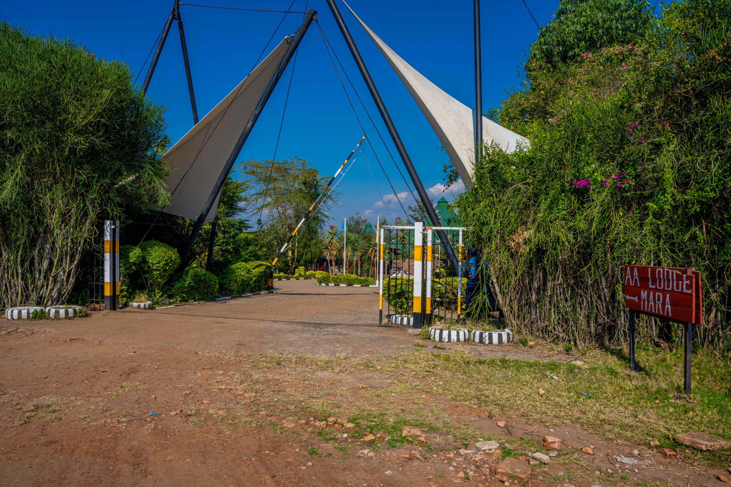 AA LODGE — Masai mara: Holiday package