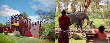 Amboseli Serena Luxury Lodge Holiday