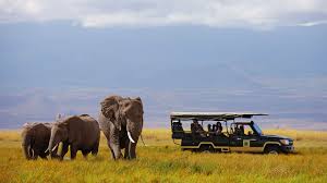 Tortilis Camp – Luxury Safari Lodge in Amboseli with Mount Kilimanjaro Views