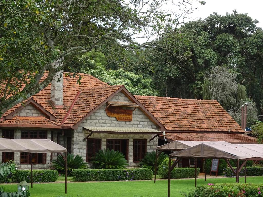 Le Pristine Wellness & Healing Hotel – Where Peace Meets Purpose ??