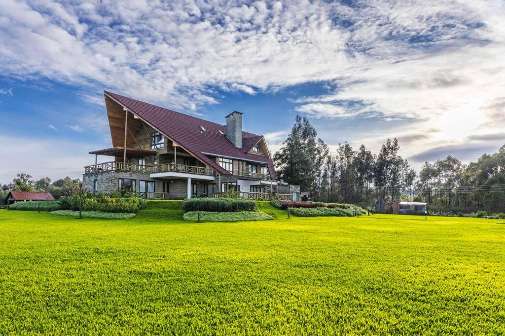 Kirimara Woodlands Nanyuki – Forest Escape on Mount Kenya’s Slopes ???