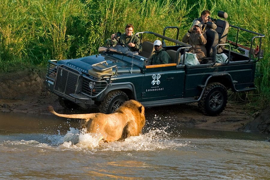 Londolozi Varty Camp Luxury Safari Package.