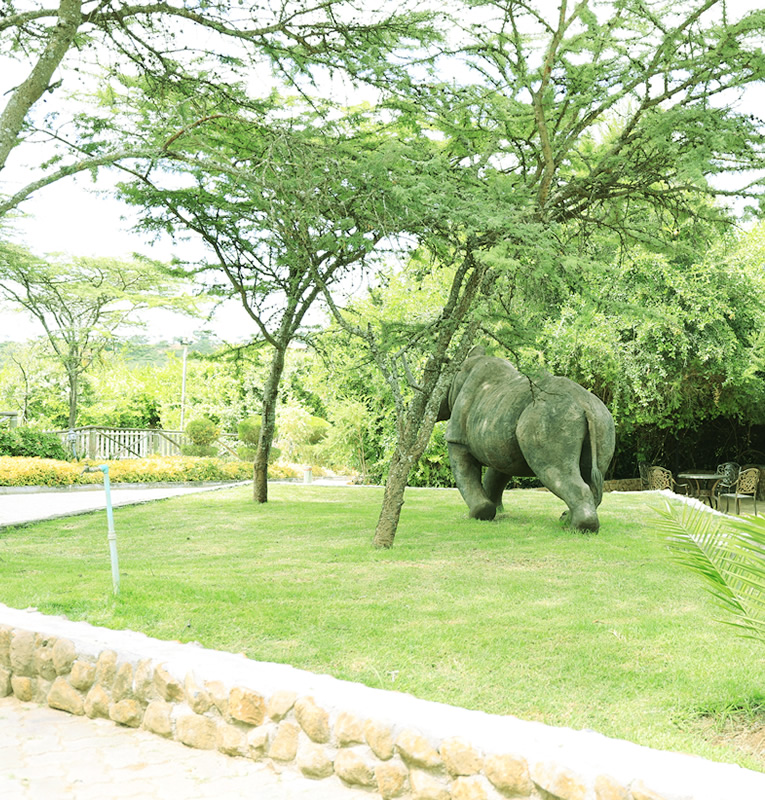 ??Kambi Msituni Nanyuki – Where Nature Whispers and Peace Reigns ?