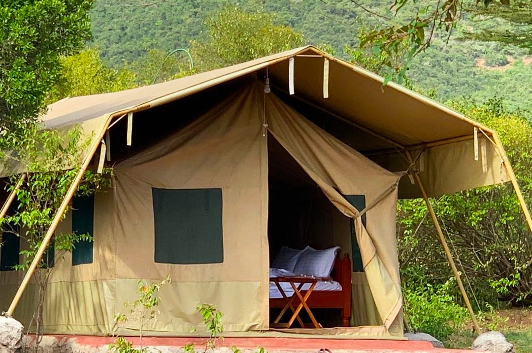 Olodare Mara Camp | Maasai Mara Safari – Where Adventure Meets Luxury.