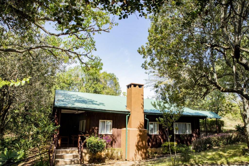 Naro Moru River Lodge – The Gateway to Mount Kenya Adventure 🌄