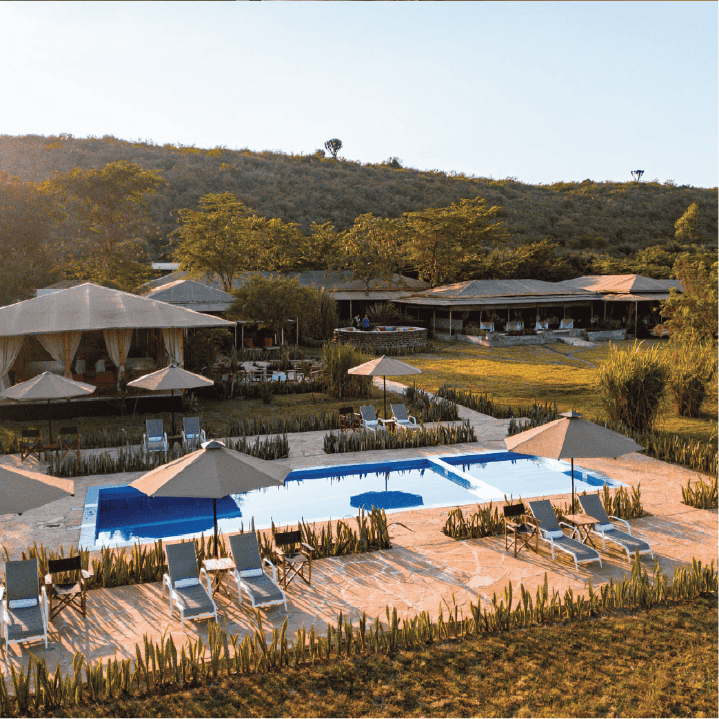 Zebra Plains Camp –  Safari Experience Where the Wild Whispers Luxury   in the Heart of Maasai Mara.