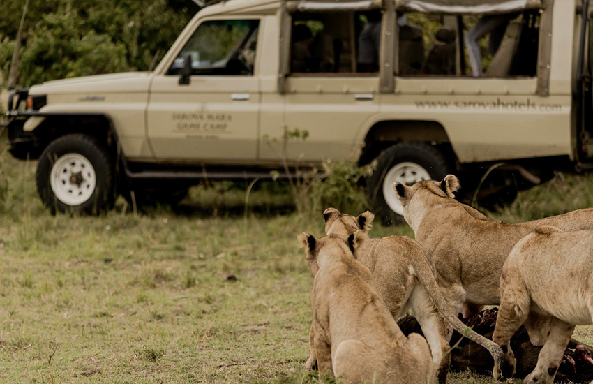 Sarova Mara Game Camp